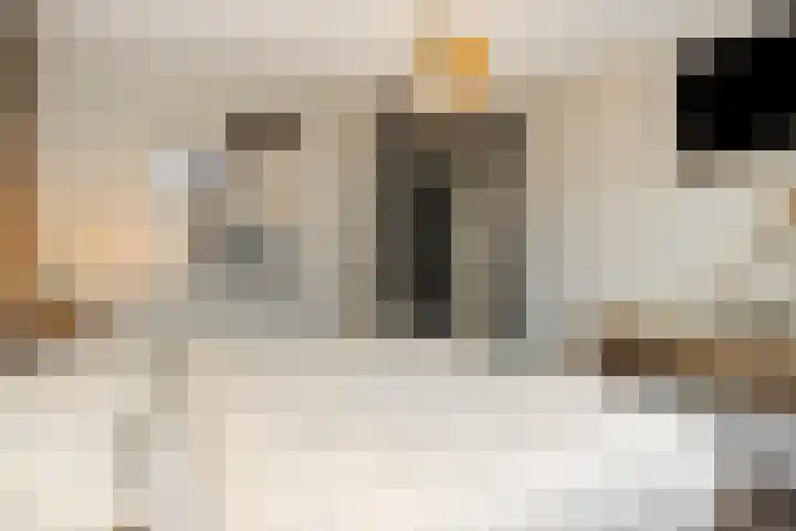 Gagel 8 Geffen thumbnail 32