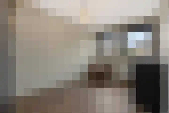 Gagel 8 Geffen thumbnail 33