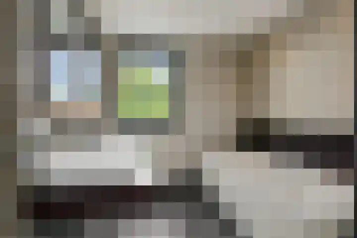 Gagel 8 Geffen thumbnail 36