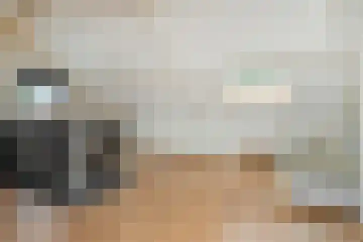 Gagel 8 Geffen thumbnail 40