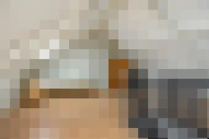 Gagel 8 Geffen thumbnail 41