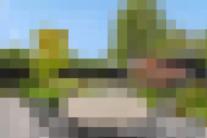 Gagel 8 Geffen thumbnail 42