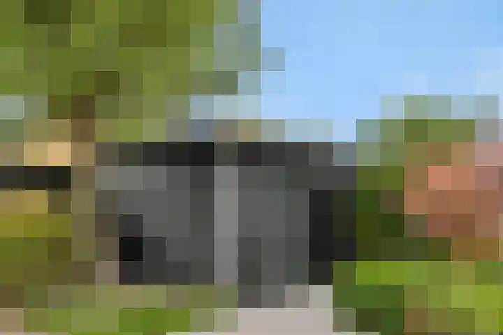 Gagel 8 Geffen thumbnail 44