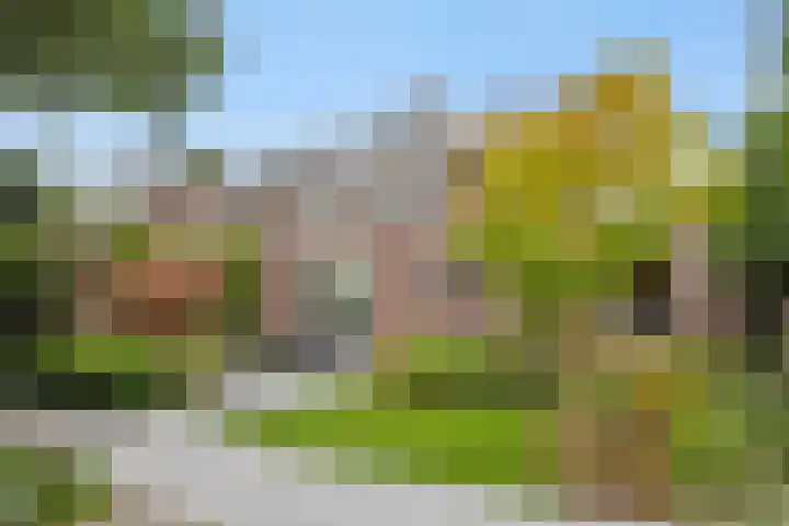 Gagel 8 Geffen thumbnail 45