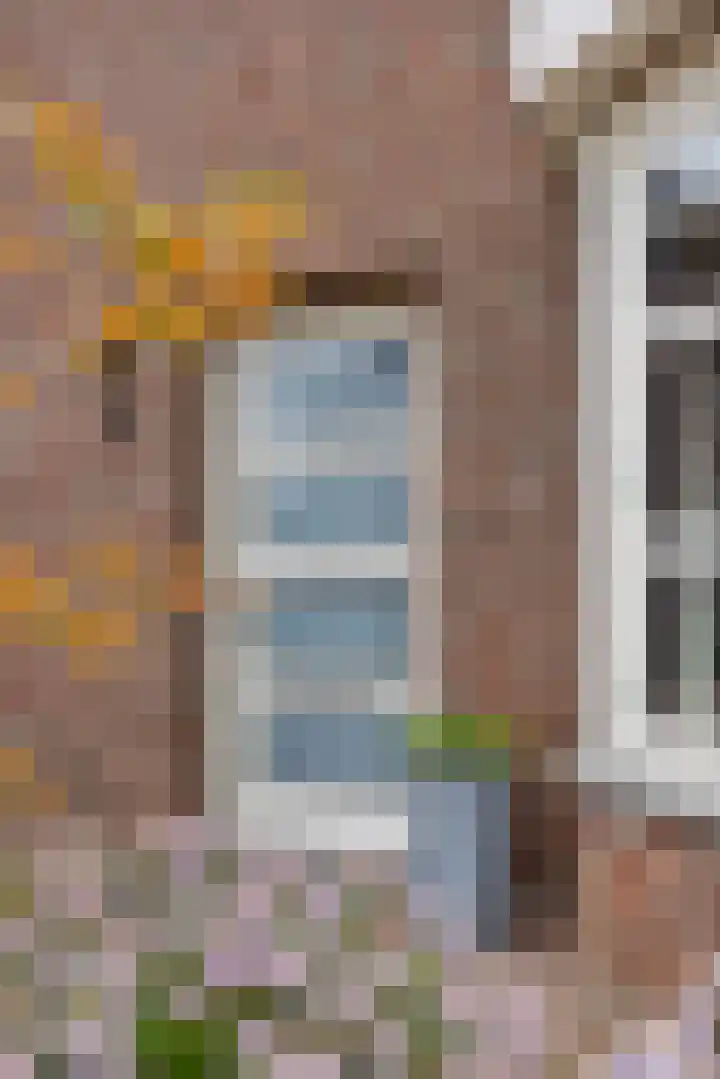 Gagel 8 Geffen thumbnail 48