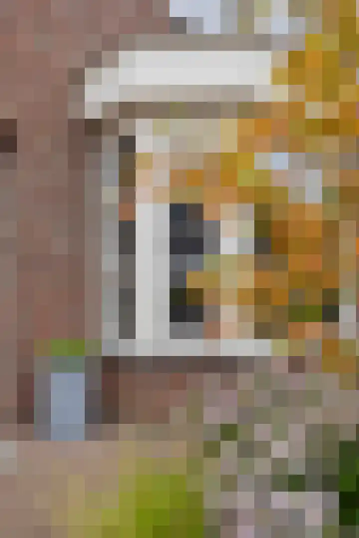 Gagel 8 Geffen thumbnail 49