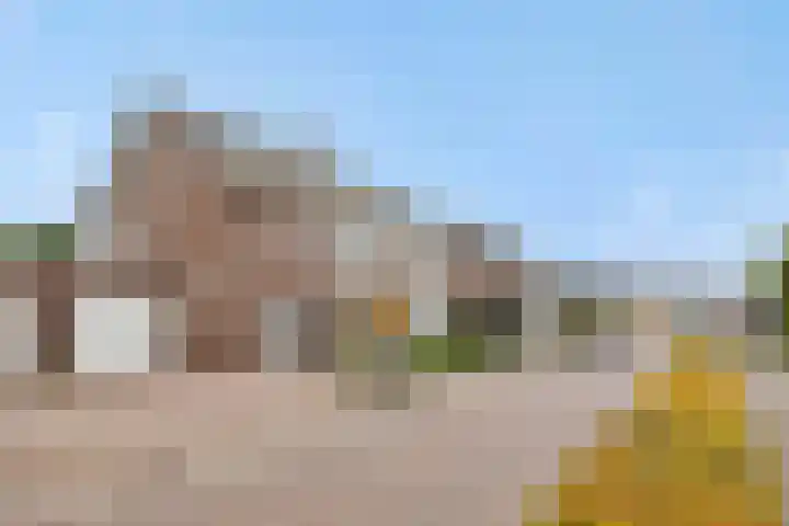 Gagel 8 Geffen thumbnail 51