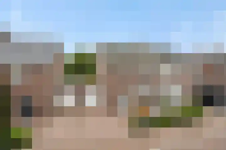 Gagel 8 Geffen thumbnail 53