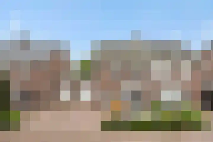 Gagel 8 Geffen thumbnail 54