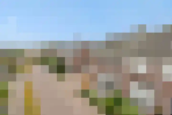 Gagel 8 Geffen thumbnail 55
