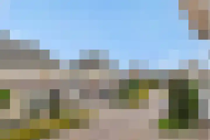Gagel 8 Geffen thumbnail 56