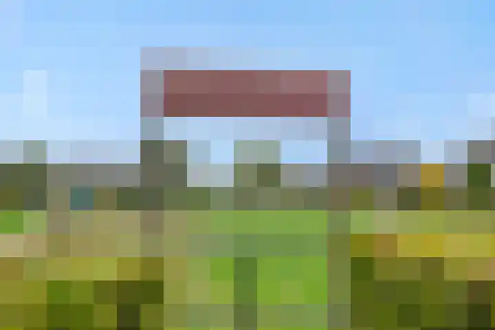 Gagel 8 Geffen thumbnail 57