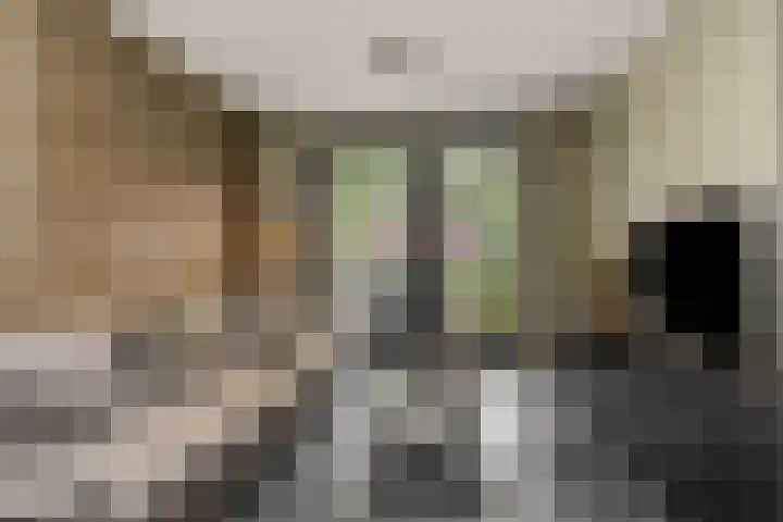 Gagel 8 Geffen thumbnail 6
