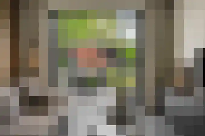 Gagel 8 Geffen thumbnail 7