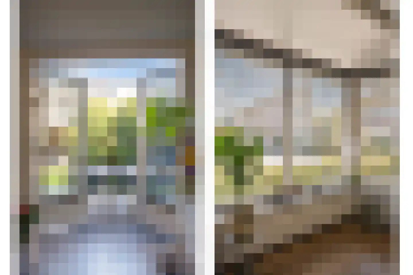 Gagel 9 Geffen thumbnail 10