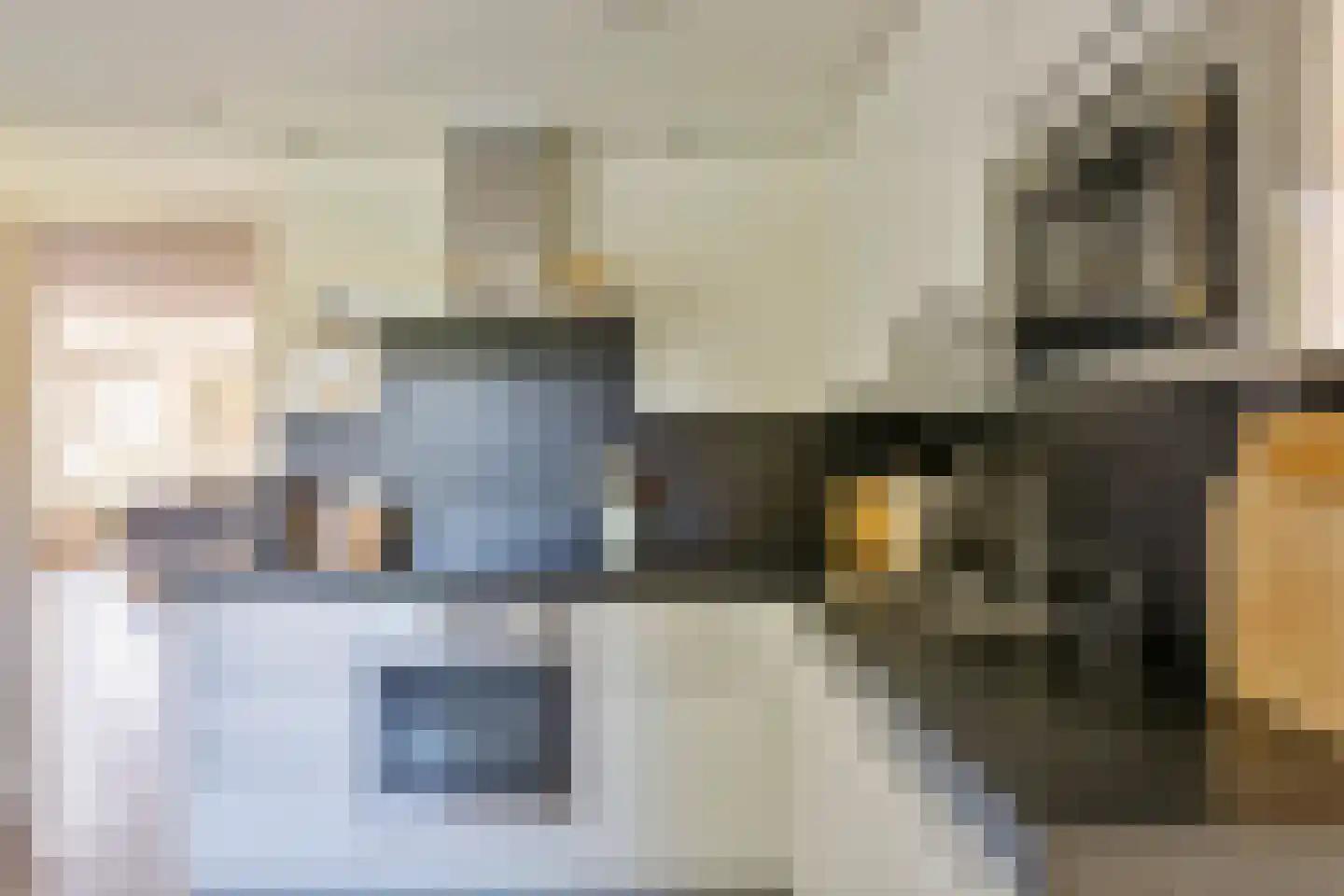 Gagel 9 Geffen thumbnail 12