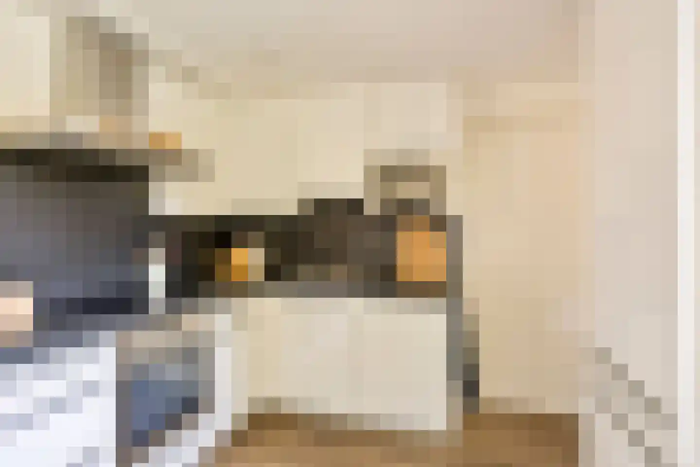 Gagel 9 Geffen thumbnail 13