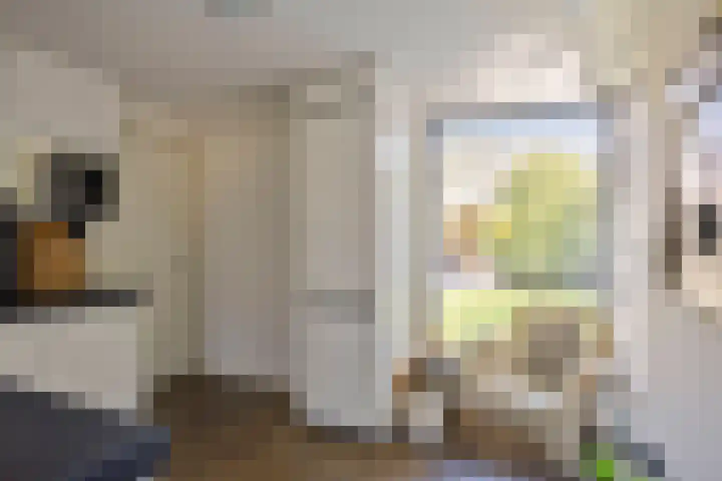 Gagel 9 Geffen thumbnail 14