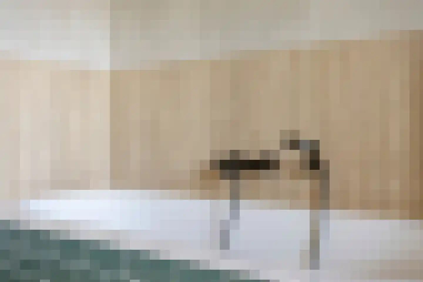 Gagel 9 Geffen thumbnail 17