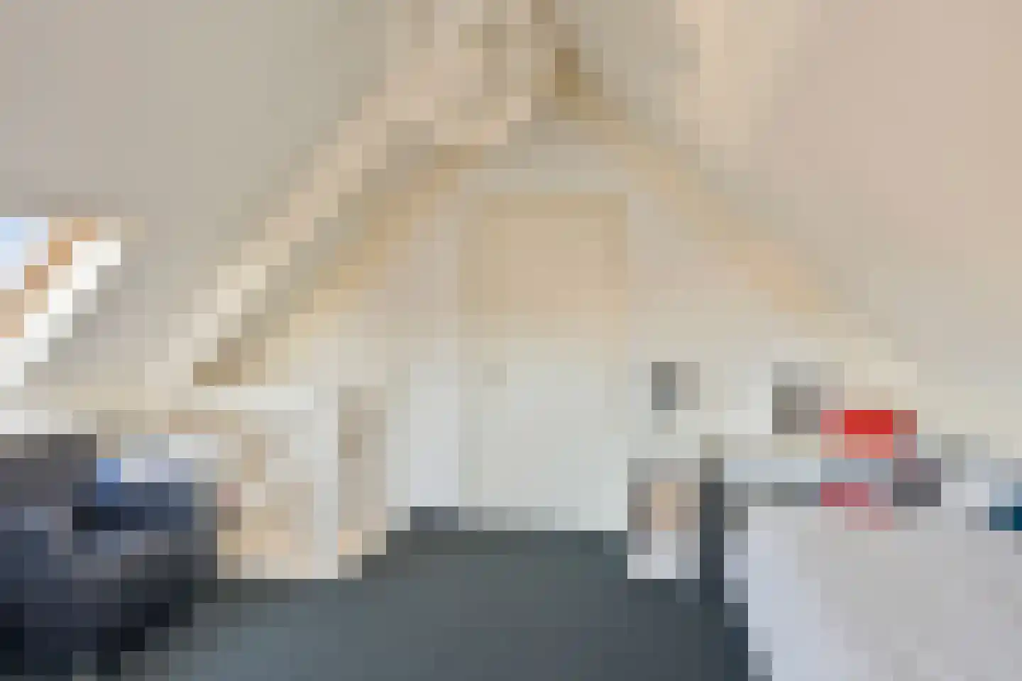 Gagel 9 Geffen thumbnail 27