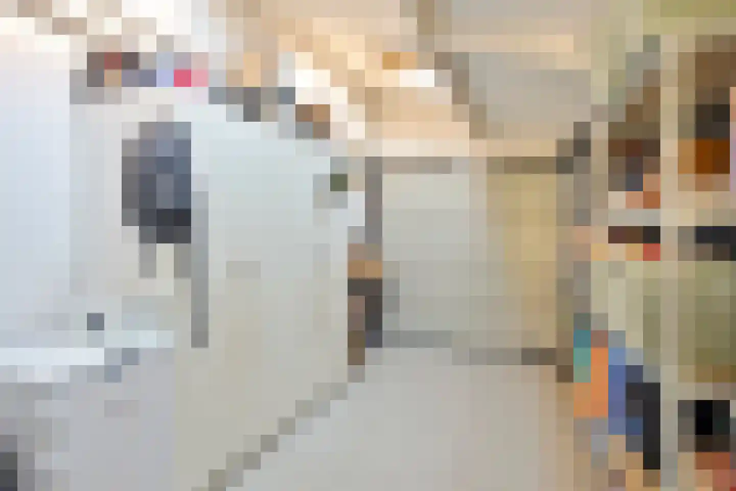 Gagel 9 Geffen thumbnail 29