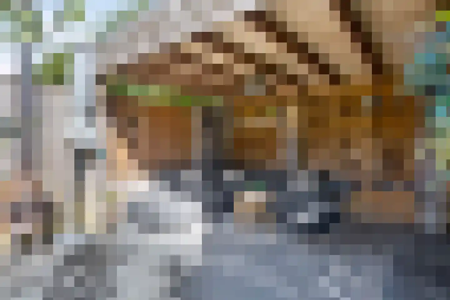 Gagel 9 Geffen thumbnail 33