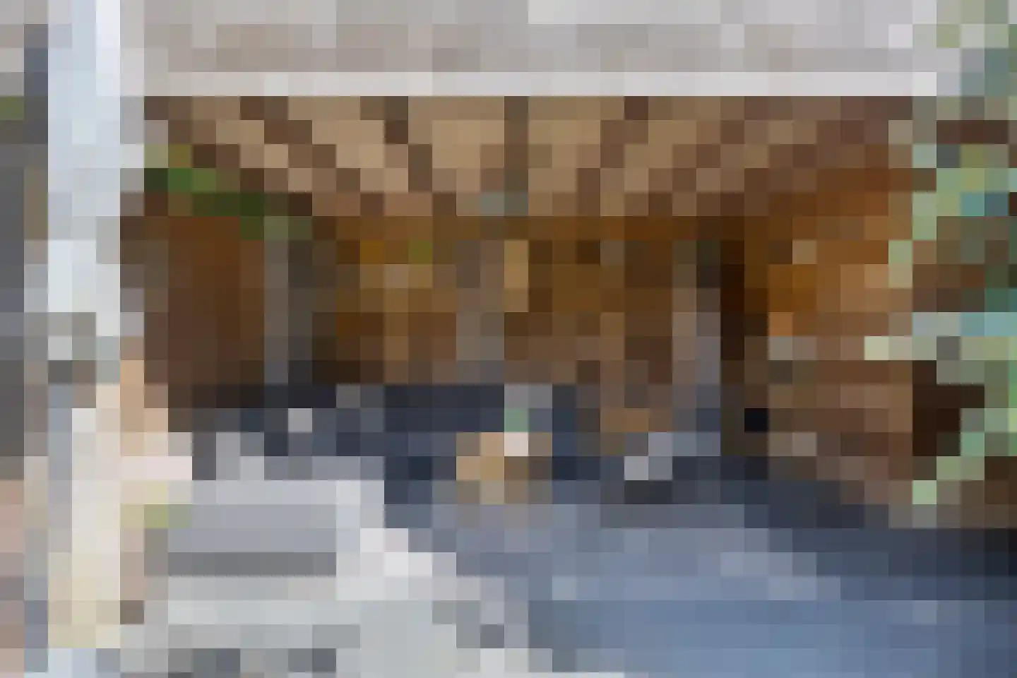 Gagel 9 Geffen thumbnail 34
