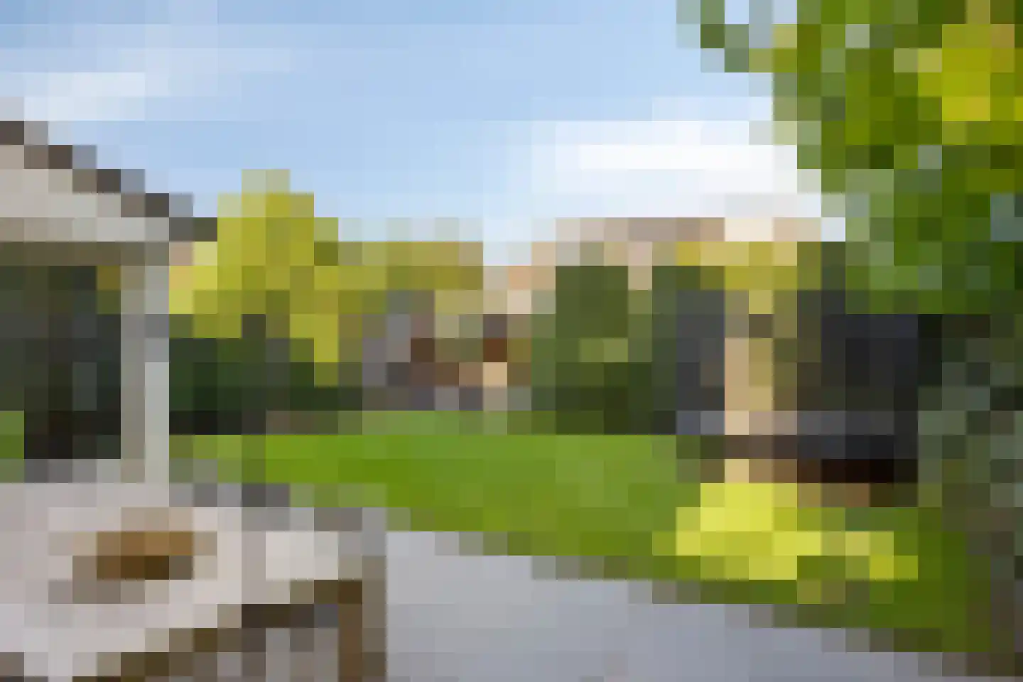 Gagel 9 Geffen thumbnail 36