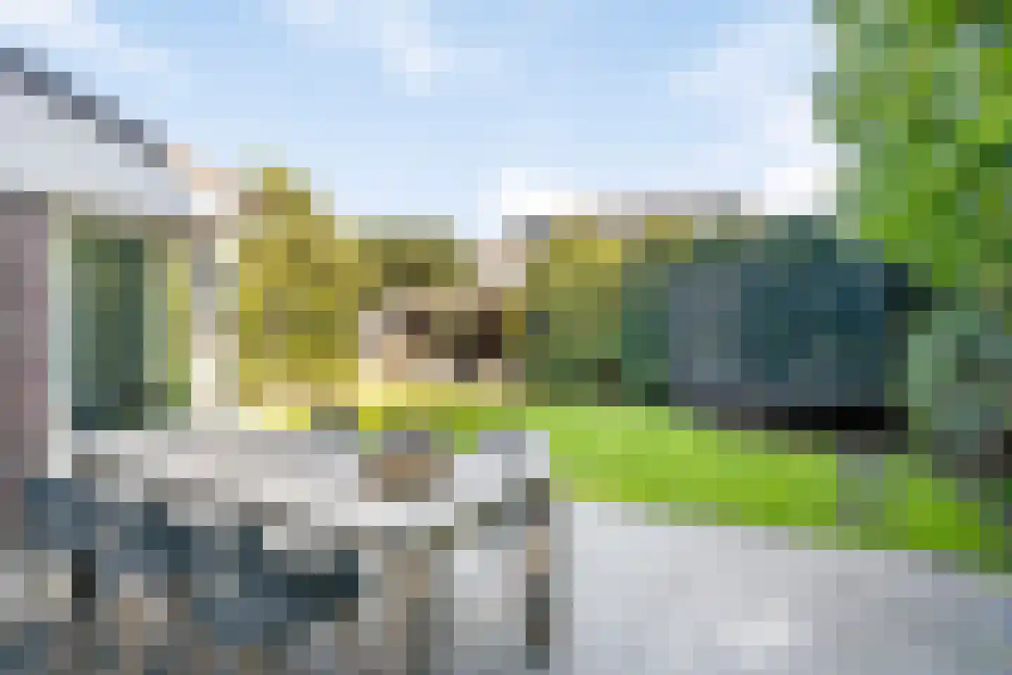 Gagel 9 Geffen thumbnail 37