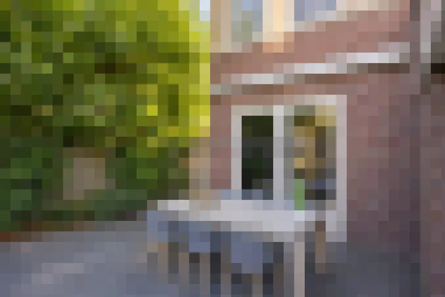 Gagel 9 Geffen thumbnail 38