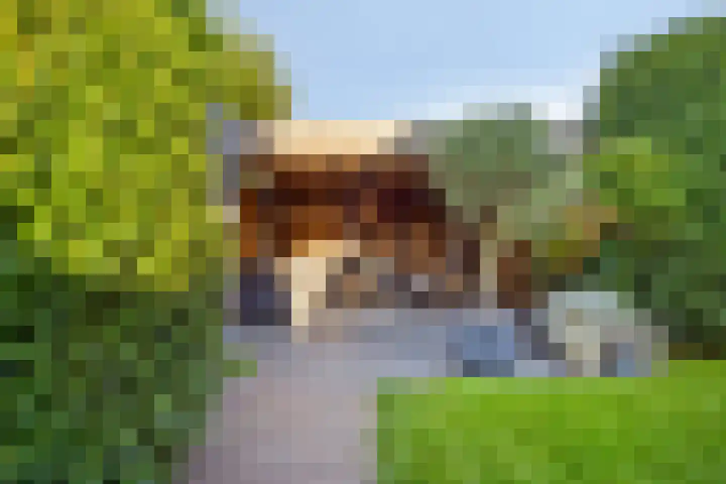 Gagel 9 Geffen thumbnail 41
