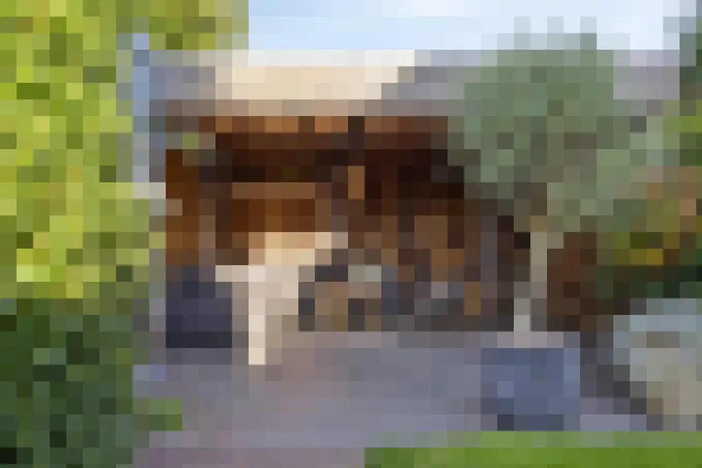 Gagel 9 Geffen thumbnail 42