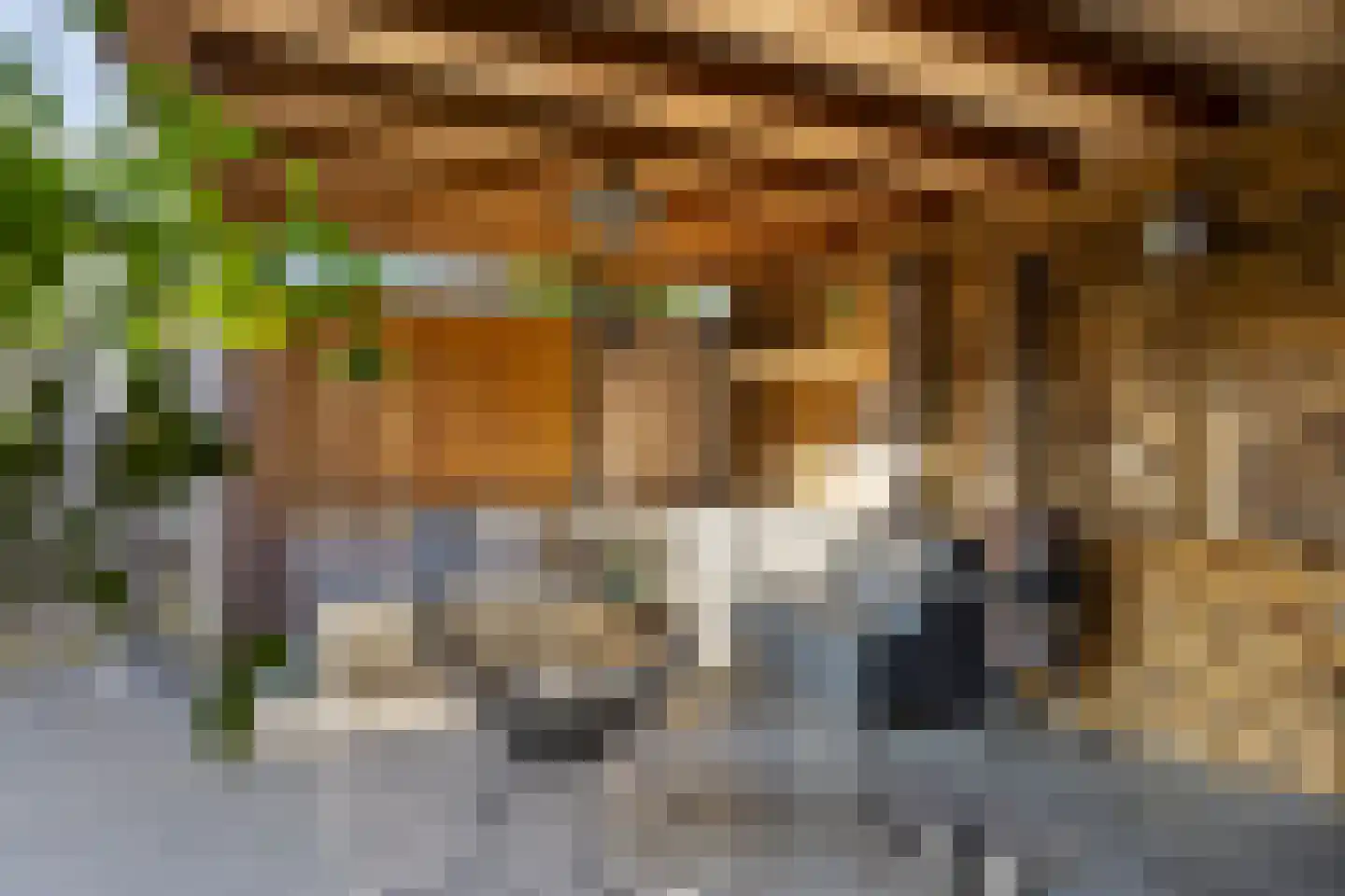 Gagel 9 Geffen thumbnail 44