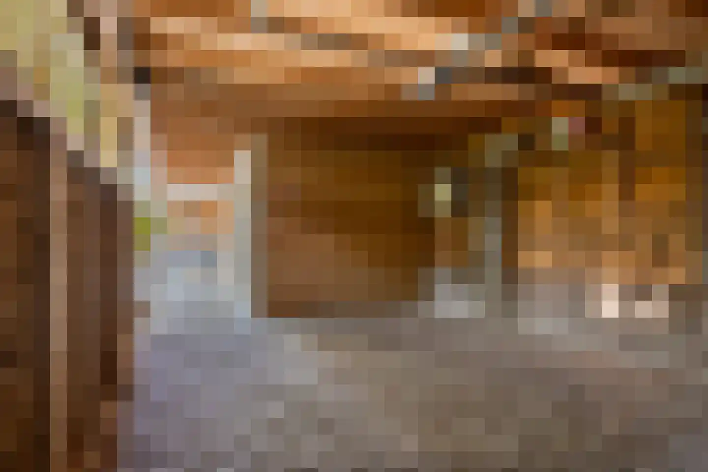 Gagel 9 Geffen thumbnail 46