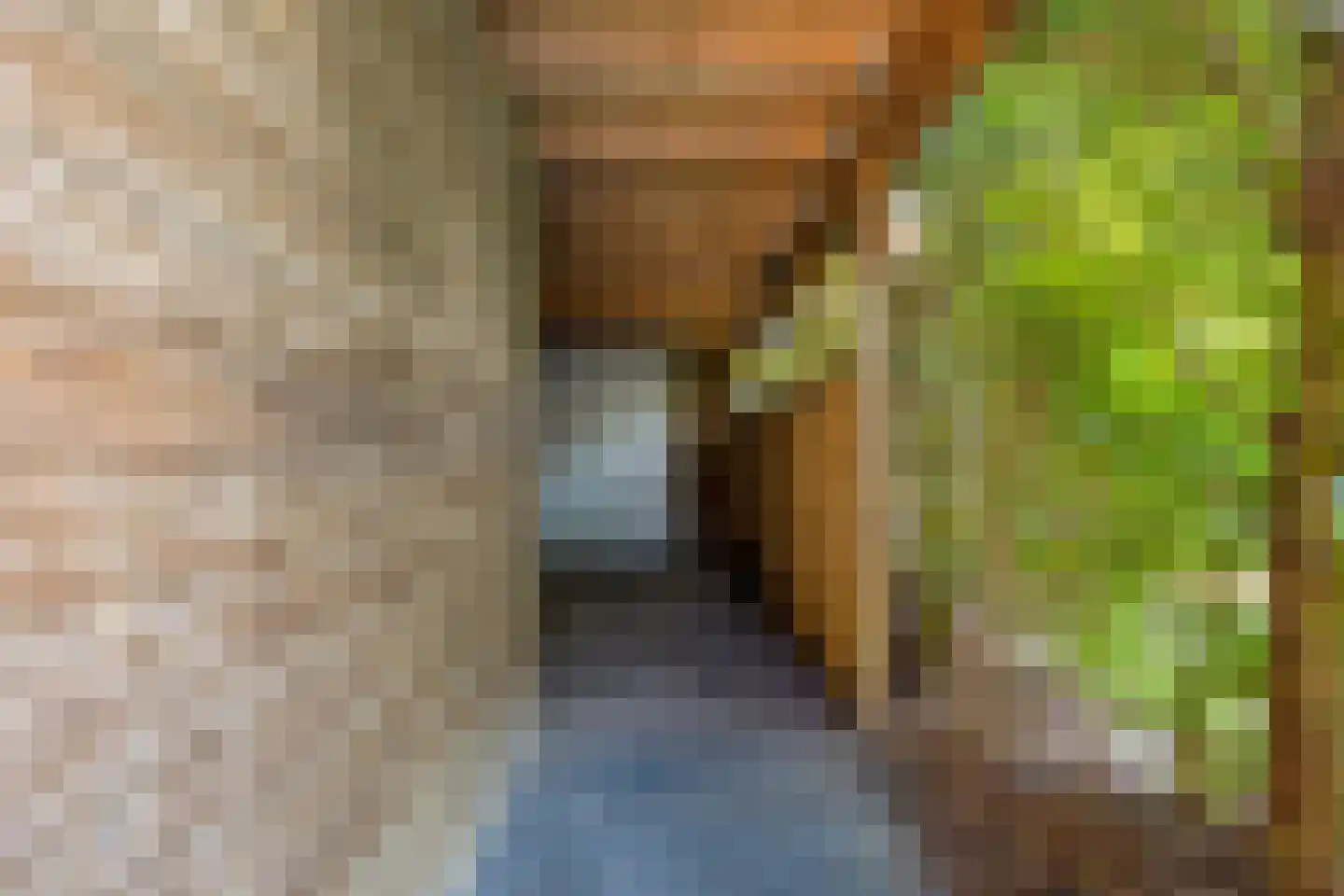 Gagel 9 Geffen thumbnail 47