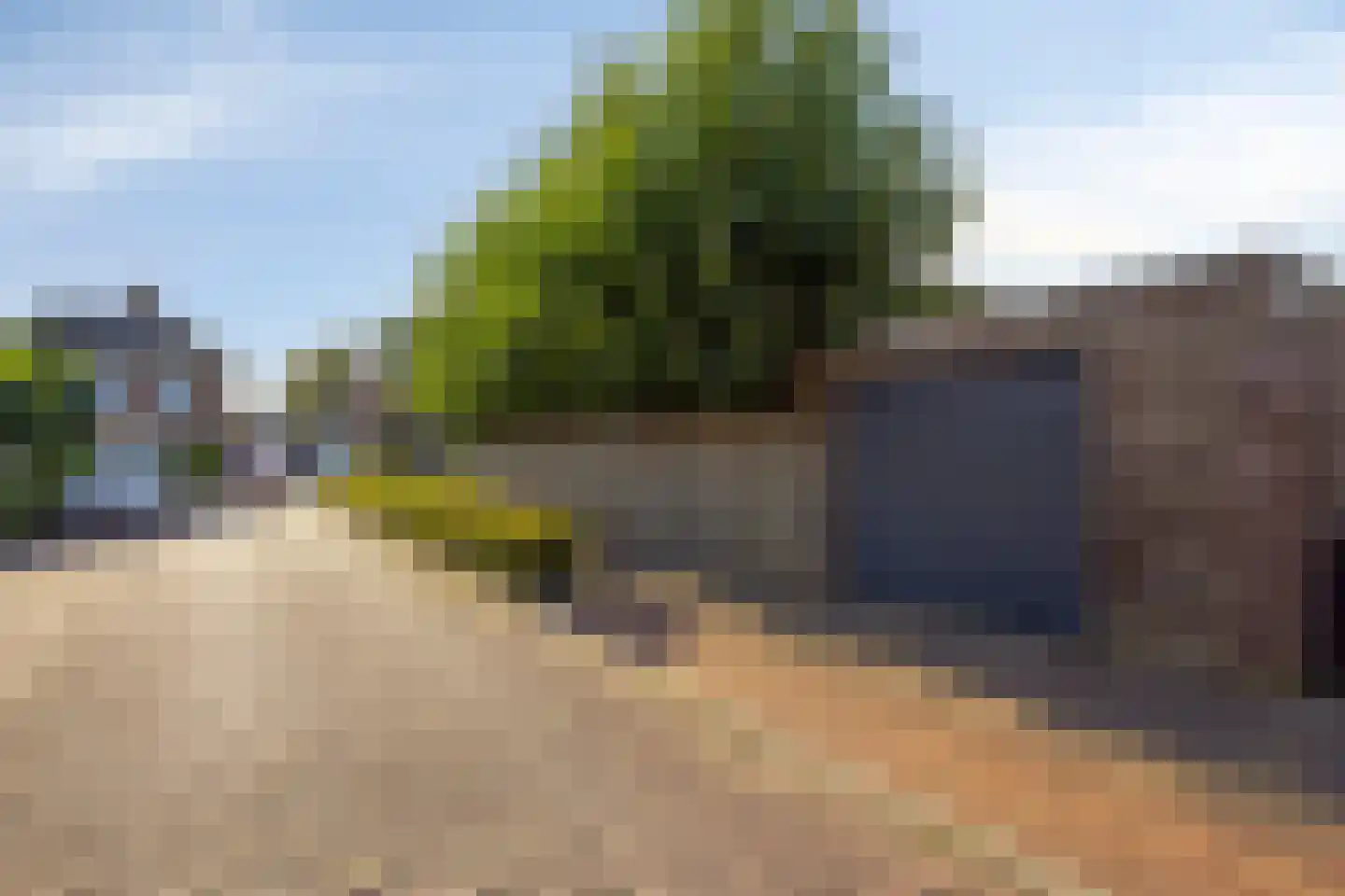 Gagel 9 Geffen thumbnail 48