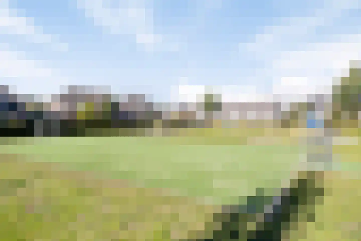 Gagel 9 Geffen thumbnail 52