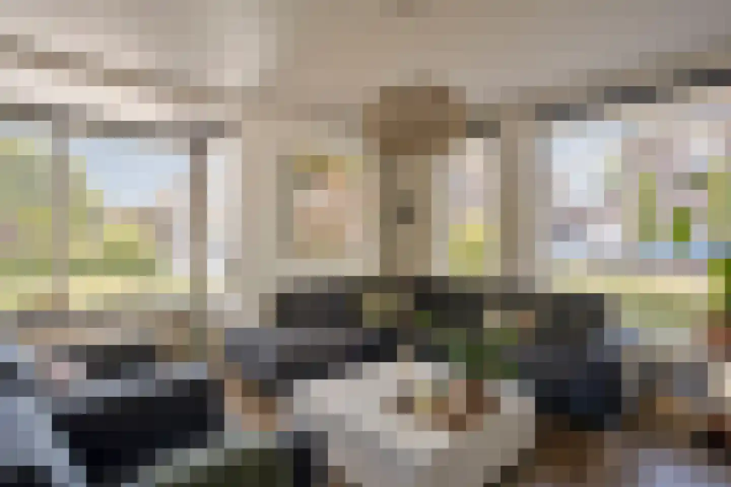 Gagel 9 Geffen thumbnail 7