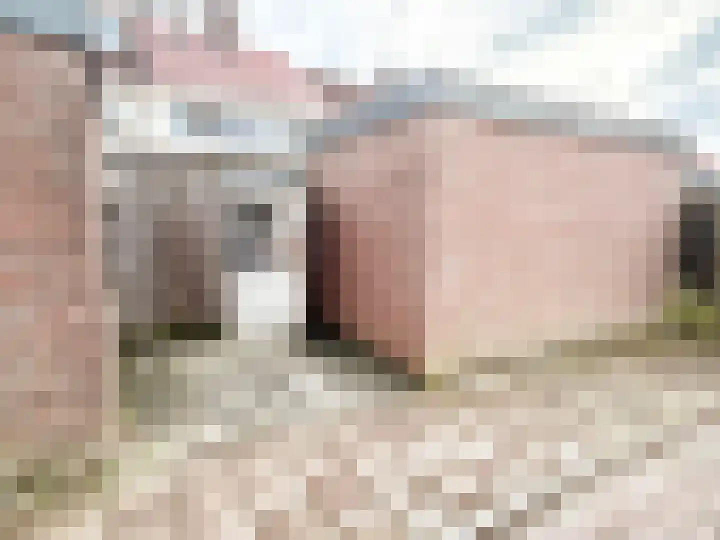 Gagelbeek 8 Veldhoven thumbnail 34