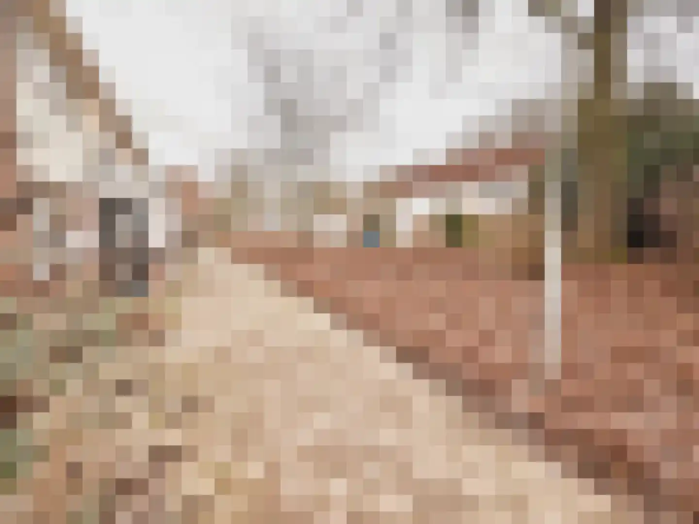 Gagelbeek 8 Veldhoven thumbnail 38