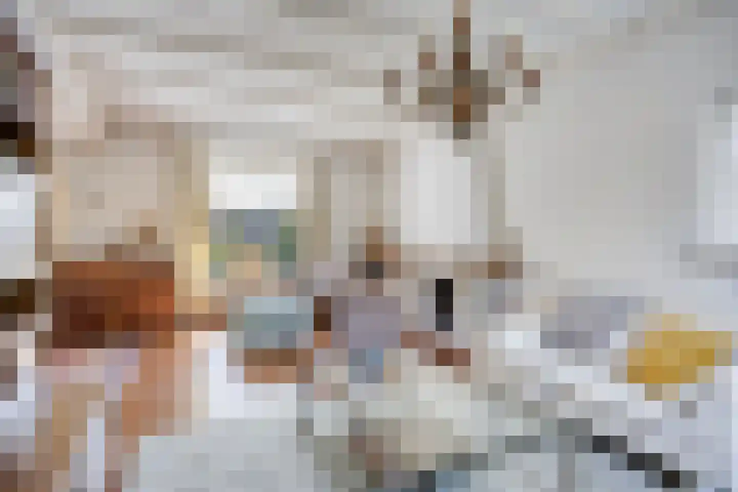 Gagelboslaan 140 Bergen op Zoom thumbnail 5