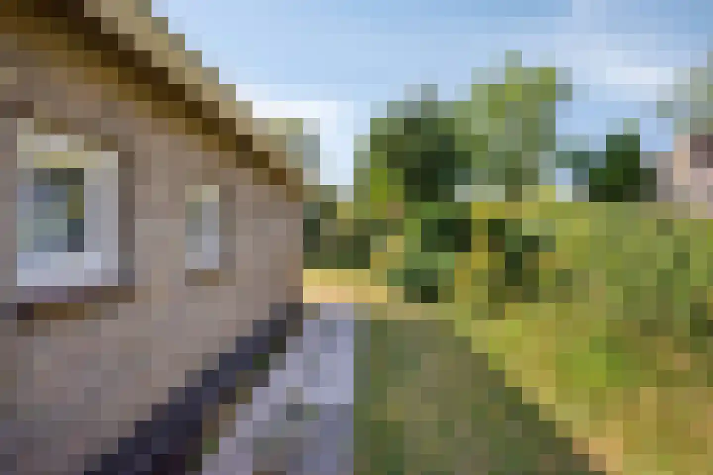 Gagelboslaan 140 Bergen op Zoom thumbnail 54