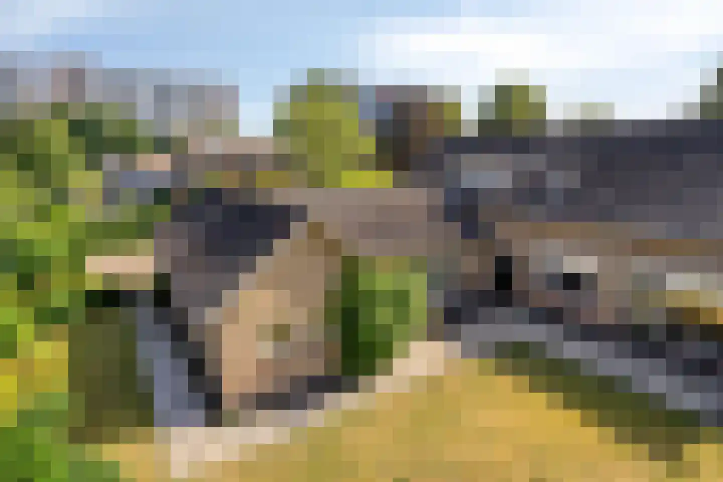 Gagelboslaan 140 Bergen op Zoom thumbnail 58