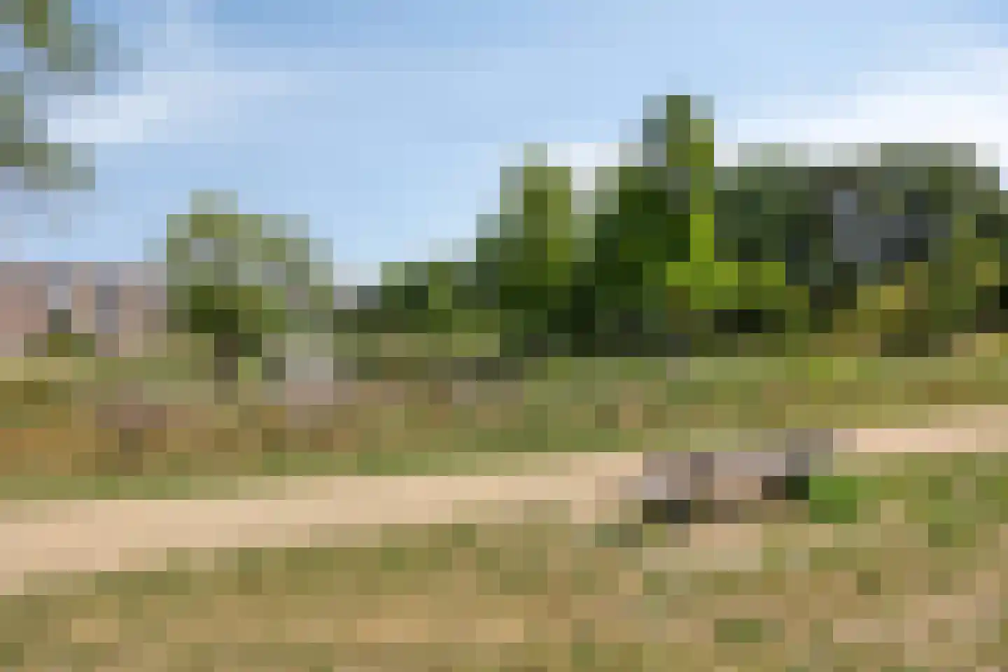 Gagelboslaan 140 Bergen op Zoom thumbnail 73