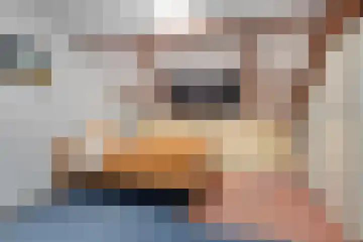 Gagelboslaan 16 Bergen op Zoom thumbnail 32
