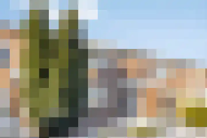 Gagelboslaan 16 Bergen op Zoom thumbnail 38