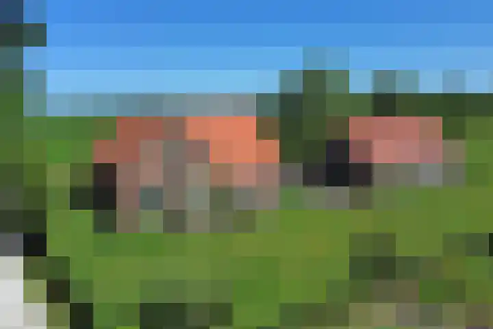 Gageldijk 1 Lochem thumbnail 17