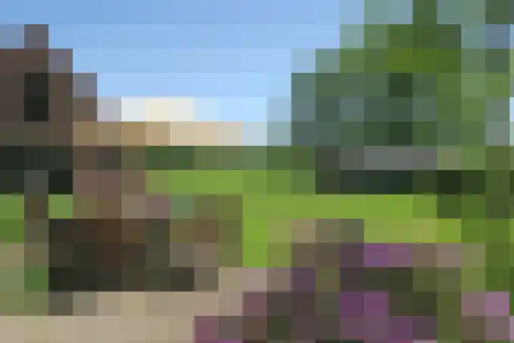 Gageldijk 1 Lochem thumbnail 20