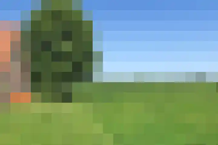 Gageldijk 1 Lochem thumbnail 24
