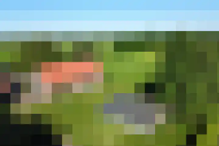 Gageldijk 1 Lochem thumbnail 25